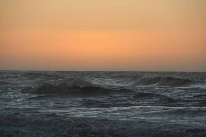 Nieuw-Zeeland 2011 - 1388